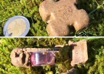 Rytų–pietų Lietuvoje iš oro mėtomos pasiutligės vakcinos