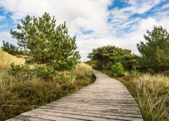 Mažiau streso, daugiau poilsio: kaip suplanuoti šeimos biudžetą vasaros atostogoms