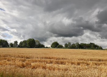 Dėl ilgo lietingo laikotarpio Vyriausybė paskelbė valstybės lygio ekstremaliąją situaciją
