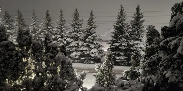 Sniegas Marijampolėje