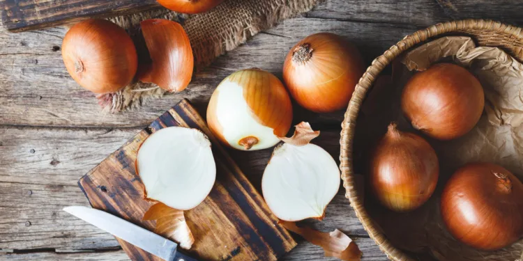 Svogūnų receptai / freepik nuotr.