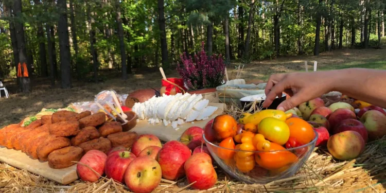 Lietuvių gastronomija