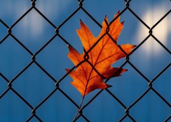 Modernizuotos pataisos įstaigos – geresnės sąlygos resocializacijai ir rizikų valdymui