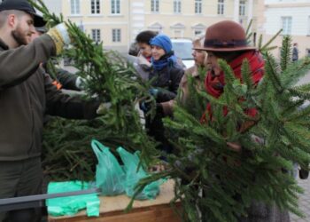 Akcijos „Parsinešk Kalėdas į savo namus” metu išdalinta tūkstančiai nemokamų eglučių šakų ir 10 tonų kankorėžių