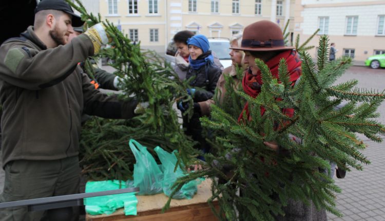 Akcijos „Parsinešk Kalėdas į savo namus” metu išdalinta tūkstančiai nemokamų eglučių šakų ir 10 tonų kankorėžių