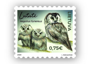 Išleidžiamas pašto ženklas, skirtas paslaptingiausiam Lietuvos paukščiui